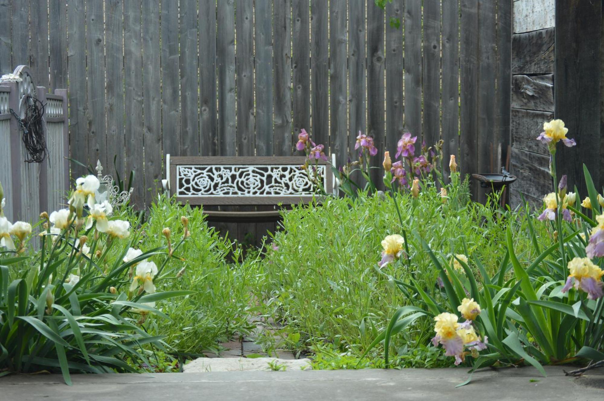 Carleton House Bed And Breakfast Bonham Exterior foto